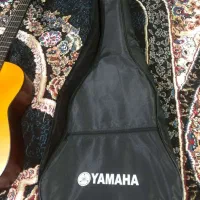 گیتار|گیتار، بیس، امپلیفایر|شیراز, بید زرد|دیوار