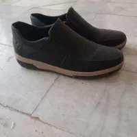 کفش نو|کیف، کفش، کمربند|شیروان (خراسان), |دیوار