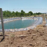 فروش باغ انگور وبادام