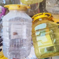 فروش ظرف و جار ترشی تمیز