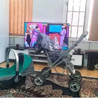 فروش گالسکه و کریر