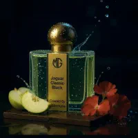 عطر و ادکلن با کیفیت-تولید مستقیم و قیمت دست اول|آرایشی، بهداشتی، درمانی|کرج, مهرویلا شمالی|دیوار