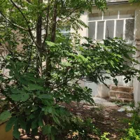 ویلایی 100 متری کلنگی نزدیک حرم رضوی|فروش زمین و ملک کلنگی|مشهد, شهید هاشمی نژاد|دیوار
