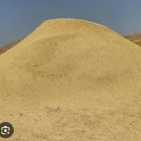 کاه دیم درجه یک