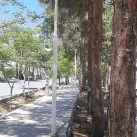 هدیه ۱۰۰ هزار تومانی