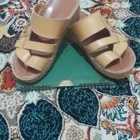 صندل عربی اصل