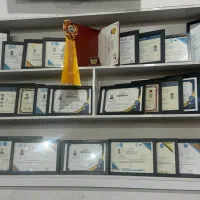 تربیت و مربی سگ