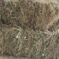 یونجه درجه یک