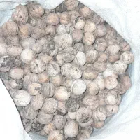 ۳۰کیلو گردو|خوردنی و آشامیدنی|الشتر, |دیوار