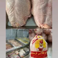 به یک نفر نیروی کاری جهت کار در پروتینی