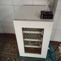 دستگاه تردمل دستگاه ویبره دستگاه جوجه کشی|تجهیزات ورزشی|رودسر, |دیوار