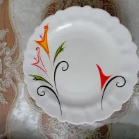 ظروف آرکوپال کاملا سالم