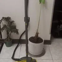 بخارشور کنوود اصل