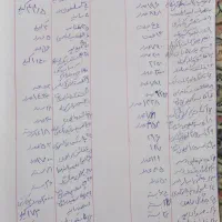 فروش ظروف یکبار مصرف|ظروف نگهدارنده، پلاستیکی، یک‌بارمصرف|بندر کنگان, |دیوار