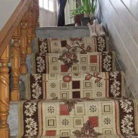 ویلایی-گلخانه-ای