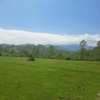 خواهان مشارکت درساخت ویلا