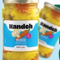 انواع خیارشور و ترشیجات هانده