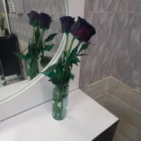 دعوت به همکاری  درسالن زیبایی