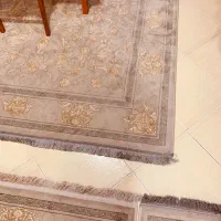 فرش ماشینی|فرش|چالوس, |دیوار