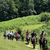 گشت سوارکاری