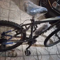 دوچرخه ویوا