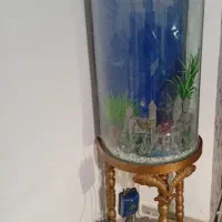 فروش آکواریوم با تمامی وسایل
