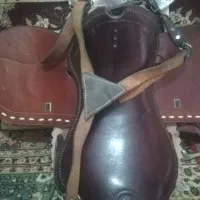 زین اسب خورموج سلام|اسب و تجهیزات اسبسواری|بوشهر, |دیوار