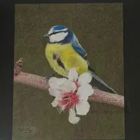 فروش خط رند همراه اول