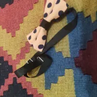 وسایل برای حیوانات خانگی