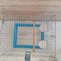 قفس عروس هلندی