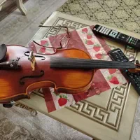 ویالون کریستینا فروش فوری