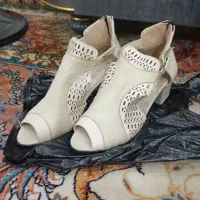 کفش مجلسی