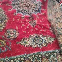 فرش|فرش|اصفهان, ارزنان|دیوار
