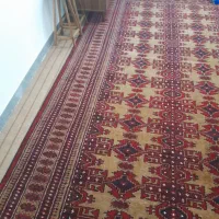 ترکمن فرش ۲ عدد|فرش|بندر ترکمن, |دیوار