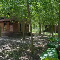 ویلا باغ چوبی/ در بهشت گمشده ایران|فروش خانه و ویلا|اسلامشهر, شهرک احمدیه|دیوار