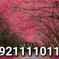 ۰۹۲۱۱۱۱۰۱۱۹
