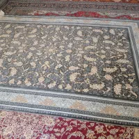 فرش ۶متری|فرش|ساوه, |دیوار