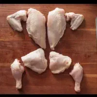 پخش مرغ استیک  گرم و منجمد