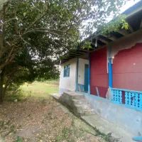 خانه سنتی ۱۱۰۰متری گیلان قیمت فقط ۴۵۰۰