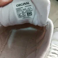 کفش اسپورت مردانه|کیف، کفش، کمربند|تبریز, |دیوار