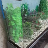 آکواریوم شیشه خم
