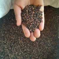 کنجد ‌کیلویی ۲۶۰۰۰۰تومان|خوردنی و آشامیدنی|میان جلگه, |دیوار