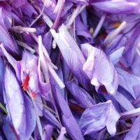 زعفران اصل را از کشاورز بدون واسطه بگیرید|خوردنی و آشامیدنی|تهران, شهرک غرب|دیوار