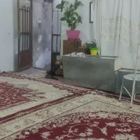 فروش فوری توس33کشف|فروش آپارتمان|مشهد, کشف|دیوار