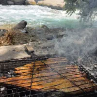 ماهی قزل الا پرورشی سوسن سرخاب پاک شده کیلو370|ماهی|مسجد سلیمان, |دیوار