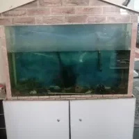 آکواریوم بزرگ