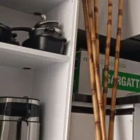 چوب بامبو با گلدان در حد نو