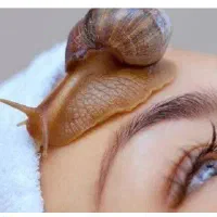 حلزون فروشی|خزنده|نیشابور, امام خمینی|دیوار