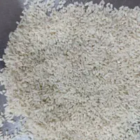 برنج هاشمی درجه یک|خوردنی و آشامیدنی|رشت, نخودچر|دیوار