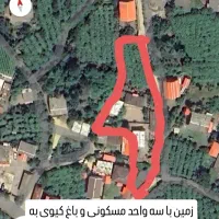 اطلاعیه فروش مزایده ای زمین، باغ کیوی و شالیزار